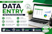 data entry, excel data entry, copy paste and PDF to excel