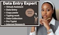 do accurate data entry and web research