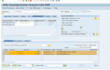 be your sap fico consultant