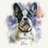 draw watercolor pet portrait