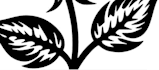 make custom horror tattoo illustration