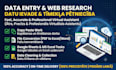 do expert data entry and web research