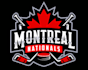 make high quality hockey logo with fastest delivery