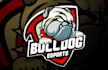 create high quality bull dog logo with free source file