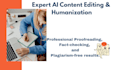do professional ai content editing and expert proofreading