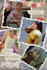 ready logo, profile pic and like editing vedios, thamnails