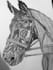 create custom sketches animal sketch animie sketches