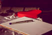 do urgent,essay, writing, critique, analyze and summarize articles, books, film