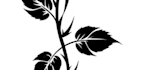 design custom cover up tattoo concept