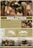 make custom presentation board