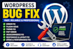 fix wordpress bugs, errors, issues, and website problems