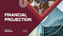 build a professional financial model