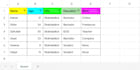 create excel formulas, filters and clean your messy sheet
