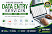 do data entry, cleaning, extraction