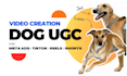 create a dog ugc video