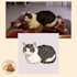 create a cross stitch pattern based on a picture