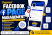 manage your facebook professionally