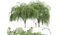 do 3d house tree model,office flower design and glb,gltf,obj model file print