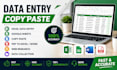 do accurate data entry, excel, google sheets, copy paste and PDF conversion