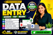 do excel data entry, typing work and online research