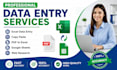 do accurate data entry in microsoft excel and google sheets