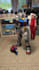 build and paint your gunpla