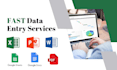 fast data entry, web research, PDF to excel and copypaste