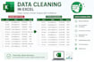 professionally clean, validate, and standardize your excel data