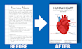 design educational and science infographics in canva