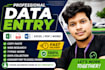 do professional data analysis data entry and excel data formatting