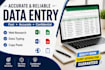 do accurate data entry, excel, web research