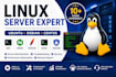 provide linux ubuntu server administration and troubleshooting