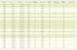 do excel data cleaning, pivot tables and data analysis