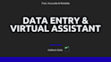 do professional data entry and virtual assistant tasks
