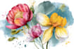 draw botanical illustration, flower, plant