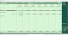 do something much more professional work of tally and excel