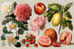 draw fineline botanical delicate flowers