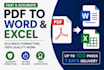 convert PDF to word or excel manually with high accuracy