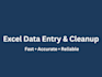 do accurate excel data entry and data cleanup
