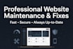 maintain and fix your website professionally