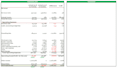 do an audit ready financial review and statement analysis