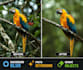 do background blur,retouching and remove simple objects