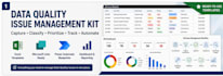 provide a data quality issue management template kit