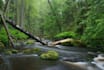 do scenic nature photography