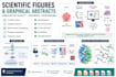 create professional scientific figures and graphical abstracts