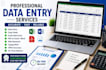 do professional data entry copy paste
