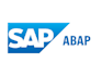 develop and customize sap abap solutions