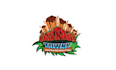 design best quality mine craft server logo