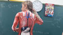 teach you anatomy easily
