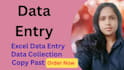 do excel data entry, copy paste, and bookkeeping tasks